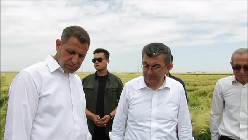 Konyalı çiftçi: "Zarar ediyoruz, çiftçi önünü göremiyor"