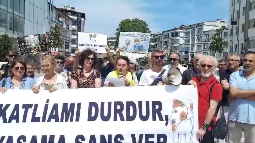 Ordu Demokrasi Platformu, sokak hayvanları için hazırlanan yasa teklifini protesto etti